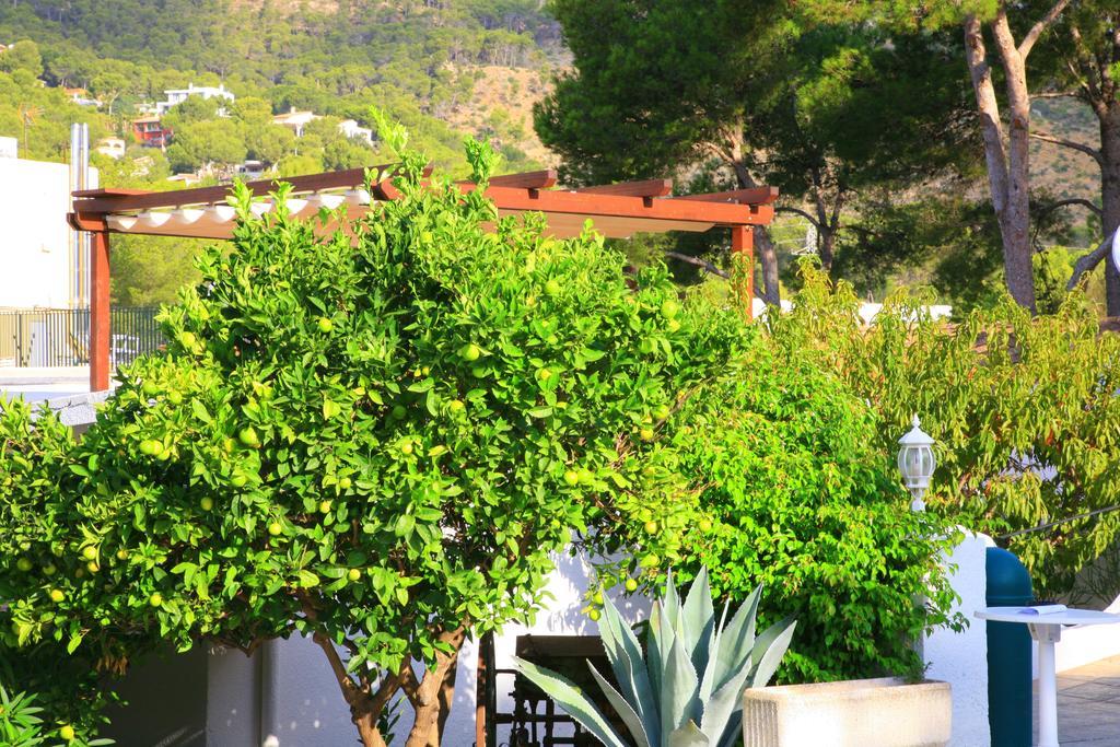Villa Columbus Family Boutique Hotel Peguera Eksteriør bilde